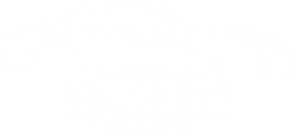 DETAILINGZONE